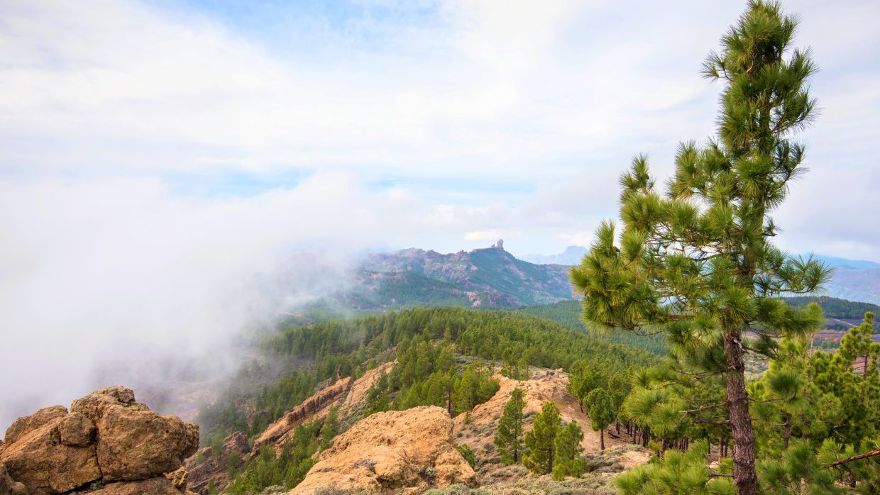 Cuatro lugares bonitos que visitar en Gran Canaria